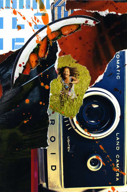 015 - this is a camera. Collage by David Smith